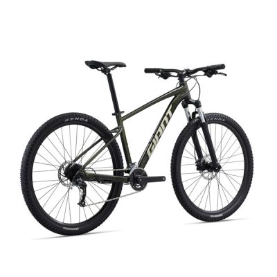 giant mtb 29er